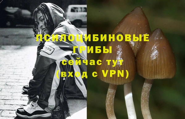 скорость Верея