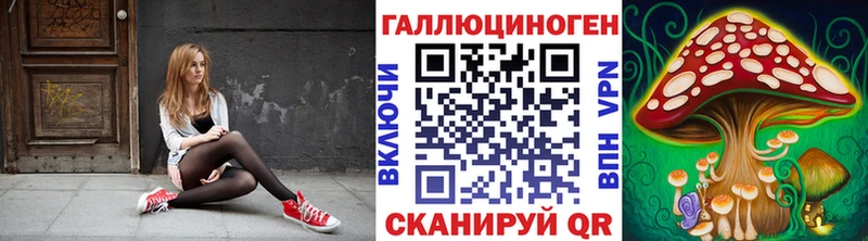 Галлюциногенные грибы прущие грибы  Вышний Волочёк 